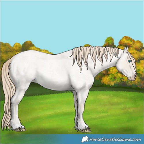 Horse Color:Smoky Creme Roan Dun 