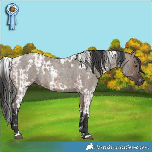 Horse Color:Brown Roan Dun and White Spotted Grullo Roan