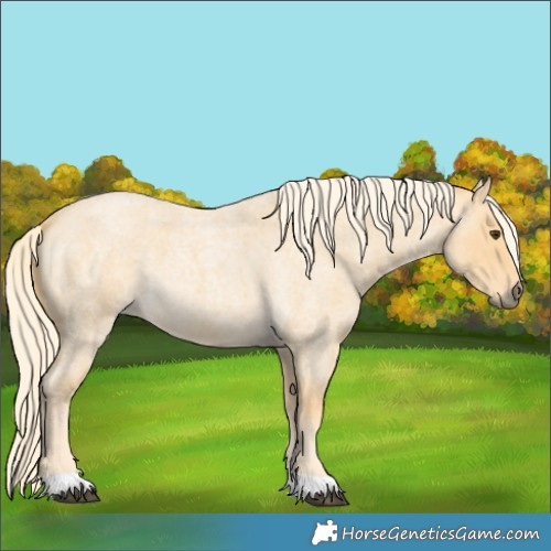 Horse Color:Palomino Roan 