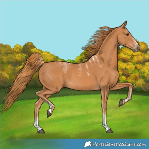 Horse Color:Powder White Chestnut 
