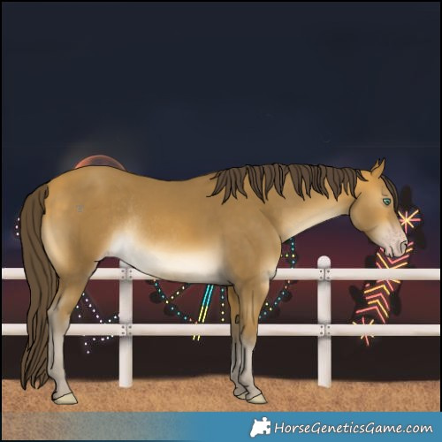 Horse Color:Sable Cream Champagne Rabicano 