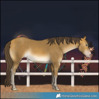 Horse Color:Sable Cream Champagne Rabicano