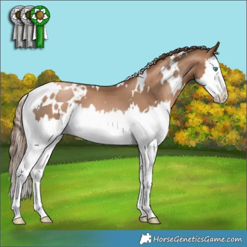 Horse Color:White Spotted Liver Chestnut Pearl Splash 