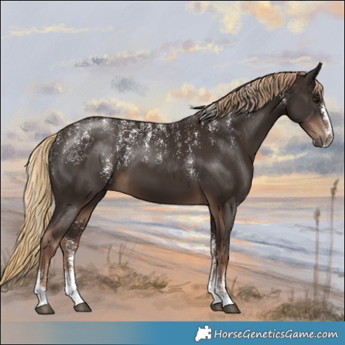 Horse Color:Powder White Liver Chestnut