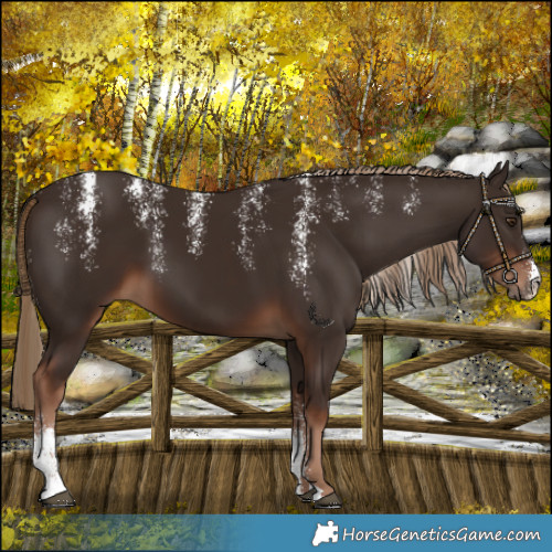 Horse Color:Powder White Liver Chestnut