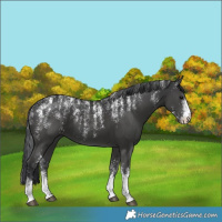 Horse Color:Powder White Black