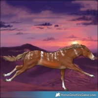 Horse Color:Powder White Chestnut