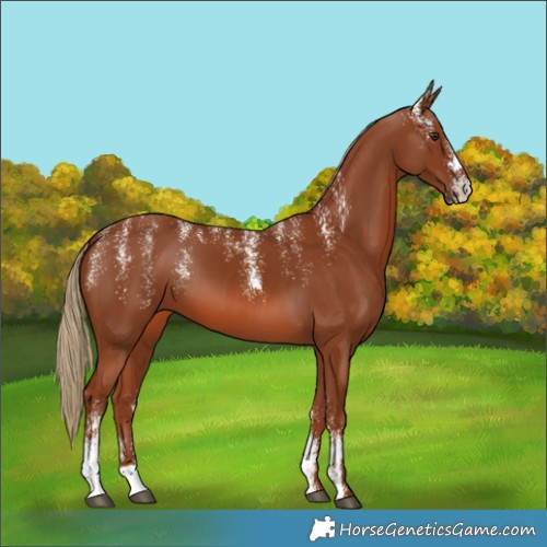 Horse Color:Powder White Chestnut