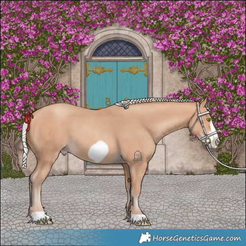 Horse Color:Silver Amber Champagne Frame