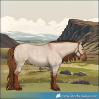 Horse Color:Red Dun Roan