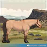 Horse Color:Bay Dun