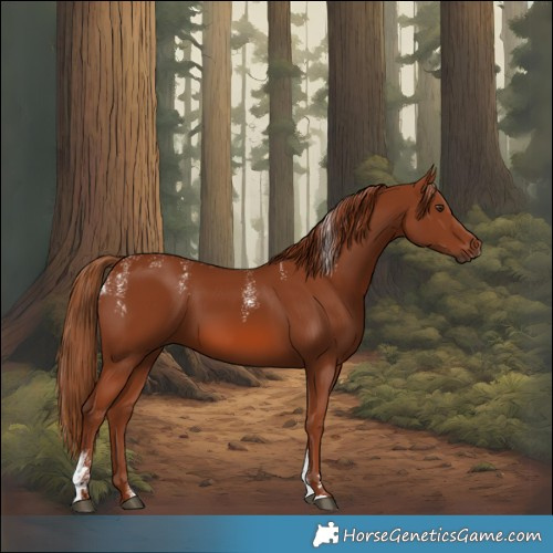 Horse Color:Powder White Chestnut 