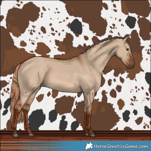 Horse Color:Red Dun 