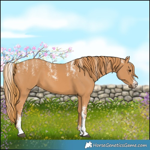 Horse Color:Powder White Chestnut 