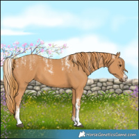Horse Color:Powder White Chestnut 