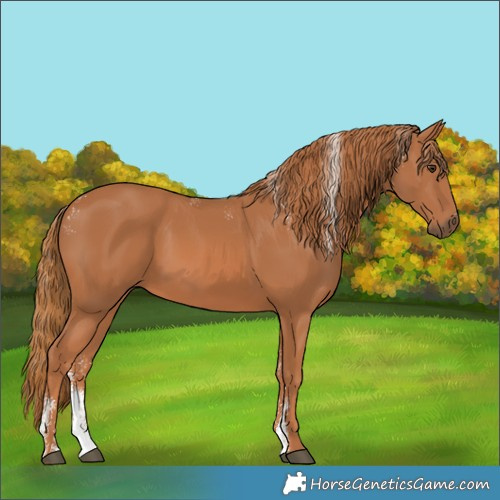 Horse Color:Powder White Chestnut