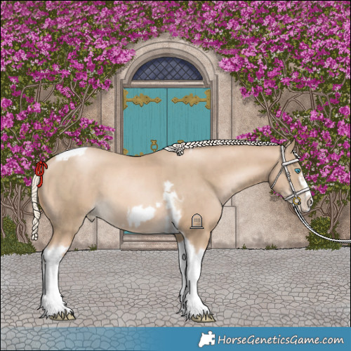 Horse Color:Chocolate Palomino Pearl Tobiano Frame  and Chocolate Palomino Pearl Tobiano Frame 