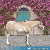 Horse Color:Chocolate Palomino Pearl Tobiano Frame  and Chocolate Palomino Pearl Tobiano Frame 