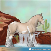 Horse Color:Chocolate Palomino Pearl Tobiano Frame  and Chocolate Palomino Pearl Tobiano Frame 