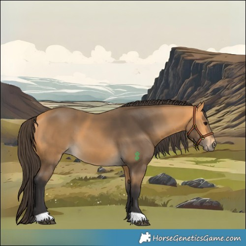 Horse Color:Buckskin