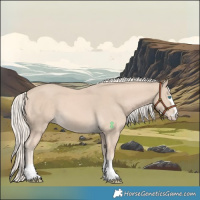 Horse Color:Cremello 