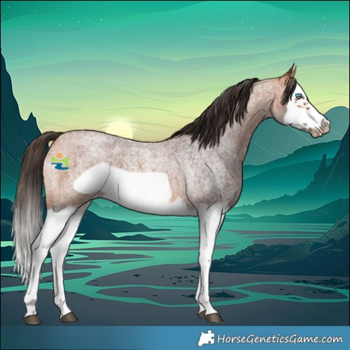Horse Color:Bay Roan Splash Frame 