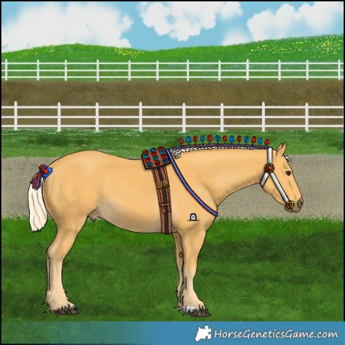 Horse Color:Palomino 