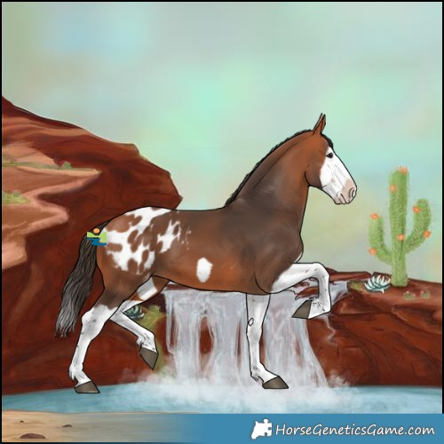 Horse Color:Bay Splash Frame Blanket 