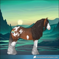 Horse Color:Bay Splash Frame Blanket 