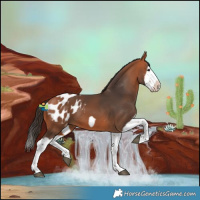 Horse Color:Bay Splash Frame Blanket