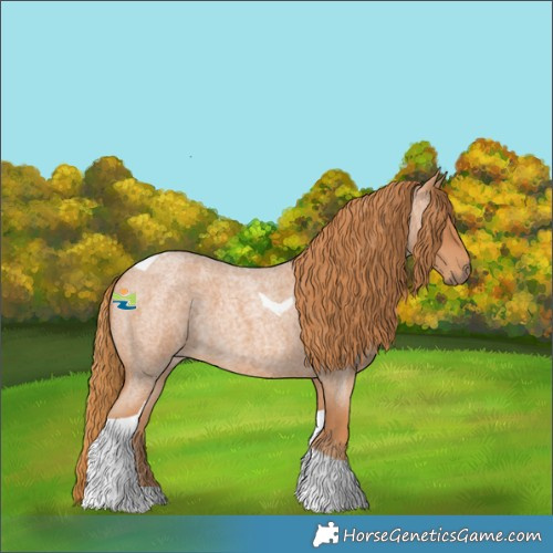 Horse Color:Red Roan Tobiano 