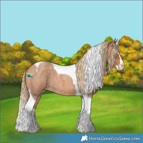 Horse Color:Red Roan Splash Tobiano 