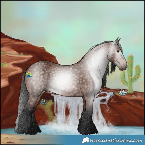 Horse Color:Gray Bay 