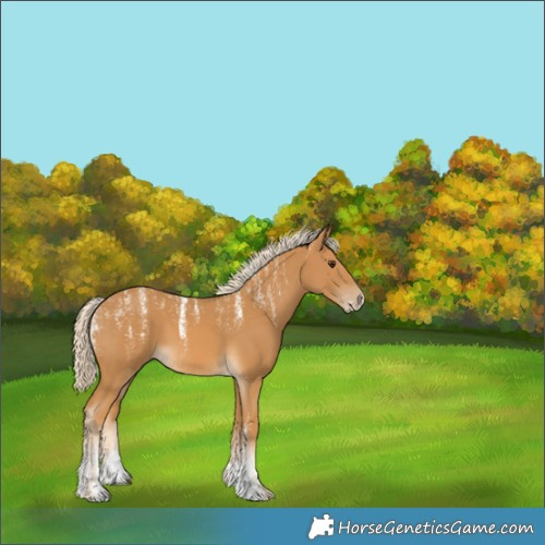 Horse Color:Powder White Palomino 