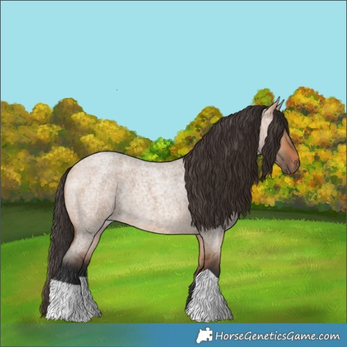 Horse Color:Bay Roan Dun 