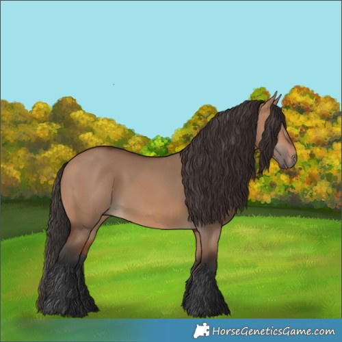 Horse Color:Bay Dun 