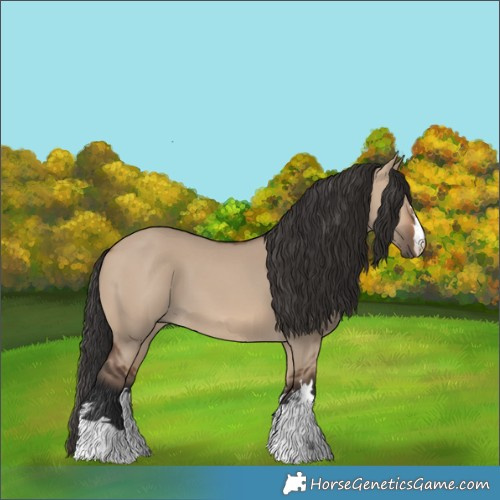 Horse Color:Brown Dun 