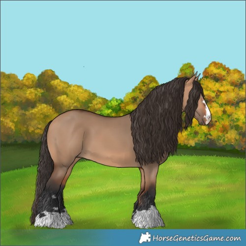 Horse Color:Bay Dun 