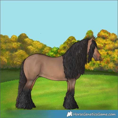 Horse Color:Bay Dun 