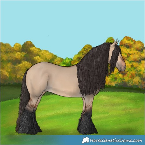 Horse Color:Bay Dun 