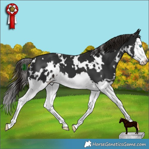 Horse Color:White Spotted Liver Chestnut Splash