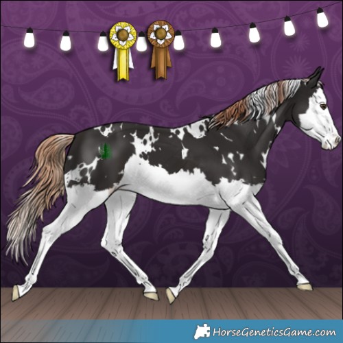 Horse Color:White Spotted Liver Chestnut Splash 