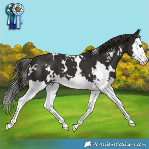 Horse Color:White Spotted Liver Chestnut Splash