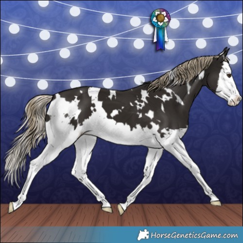 Horse Color:White Spotted Liver Chestnut Splash