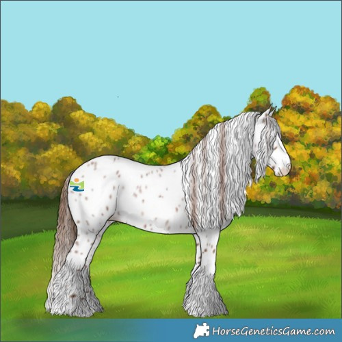 Horse Color:Red Roan Tobiano Leopard