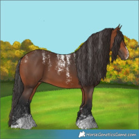Horse Color:Powder White Bay