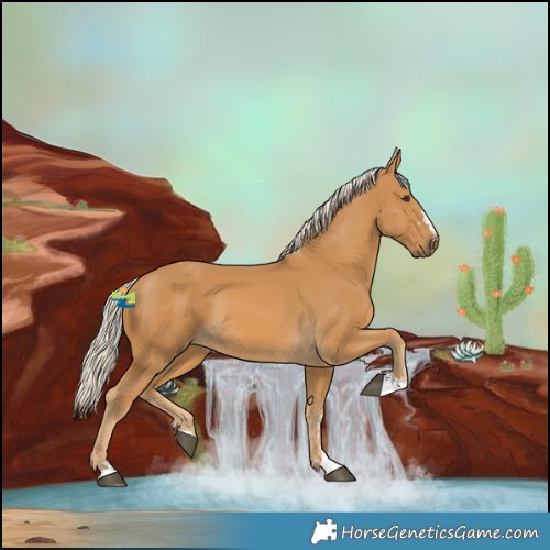 Horse Color:Palomino