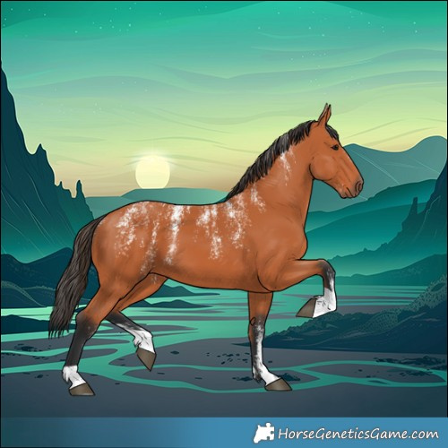 Horse Color:Powder White Bay 
