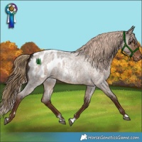 Horse Color:Liver Red Dun Roan Blanket 