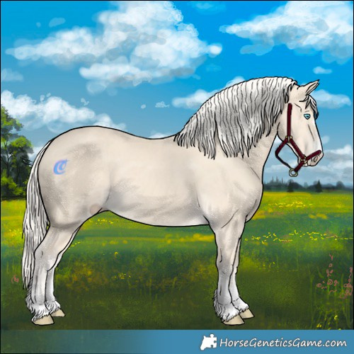 Horse Color:Cremello 